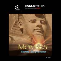 Sortie culturelle Online : "Momies" (en français) - Cinéma IMAX® TELUS du Centre des sciences de Montréal