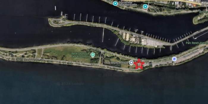 Sorties culturelles : Visite du parc René Lévesque à Lachine