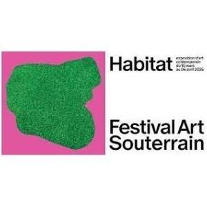 Sortie culturelle /Festival Art Souterrain - COMPLET