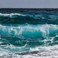 Cycle des océans : Moby Dick est de retour - Munich Accueil