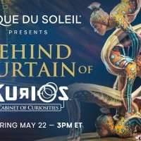 Sortie culturelle Online : Cirque du Soleil