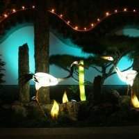Sortie Culturelle : Jardins de Lumière au Jardin Botanique