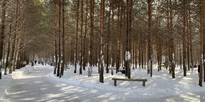 ESPRIT FAMILLE : PATINAGE AU DOMAINE ENCHANTEUR DE LA FORET PERDUE