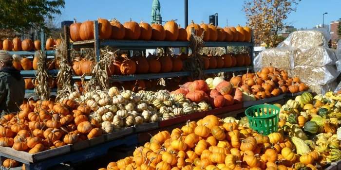 Atelier spécial nouvelles au marché Atwater