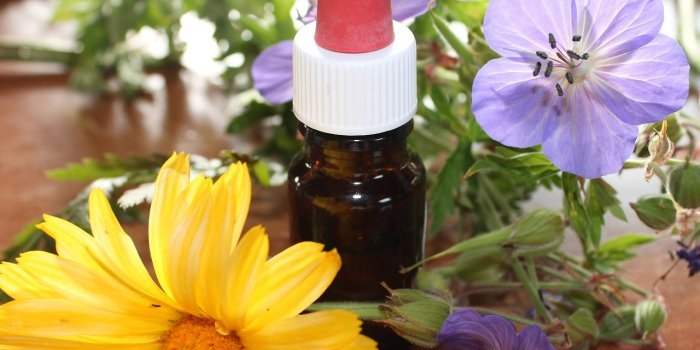 Atelier Pierre Marie : Tout savoir sur l'Homéopathie