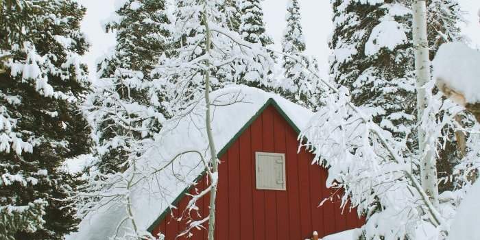Naturopathie : Se préparer pour l'hiver