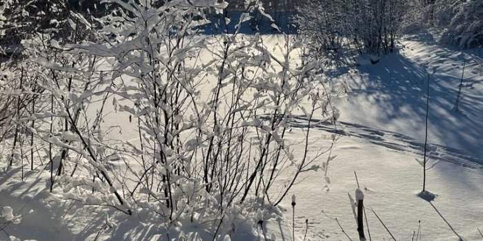 Café Premier Hiver