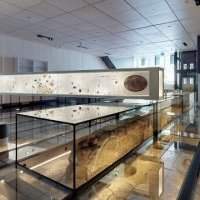 Sortie culturelle Online : Pointe-à-Callière - Ici a été fondée Montréal