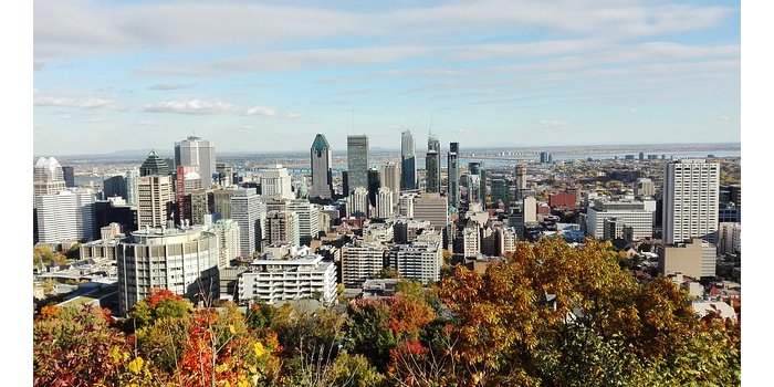 REPORTÉ - Quartier grand - balade au Mont Royal