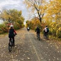 Sorties vélo
