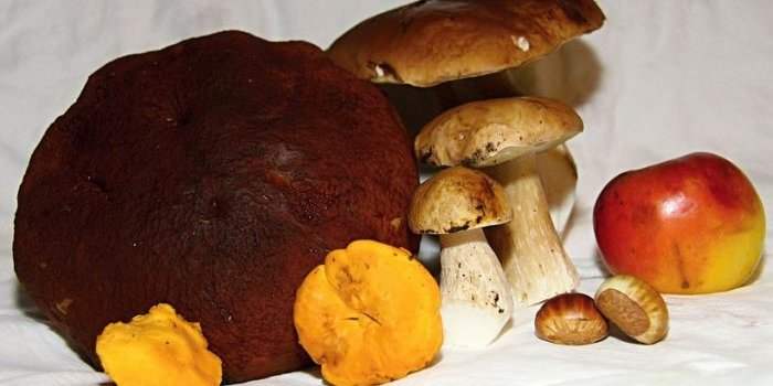 Atelier cuisine d'automne