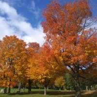 Marche d'automne au Mont Saint Bruno ANNULÉE 