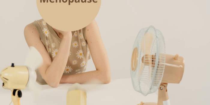 Naturopathie : Pré-ménopause et Ménopause : se préparer/anticiper et apaiser les symptômes