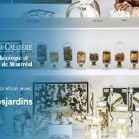Sortie culturelle Online : Les curiosités de la Chambre des merveilles - Pointe-à-Callière - Jeudi 11 juin 2020 12:00-13:00