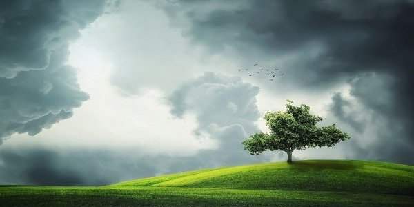 A travers le monde