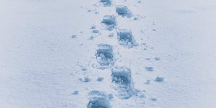 Naturopathie : Se préparer pour l'hiver