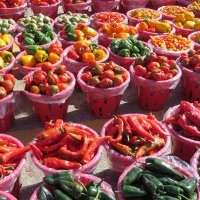 Visite du marché Jean Talon