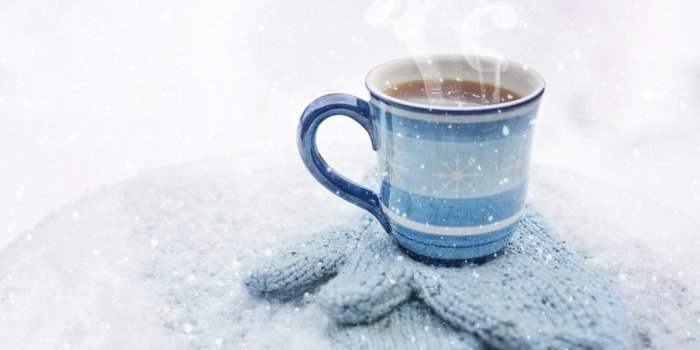Premier Hiver