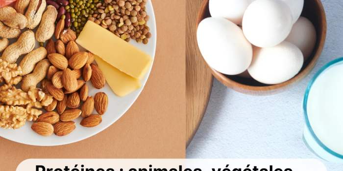 Naturopathie : Les protéines