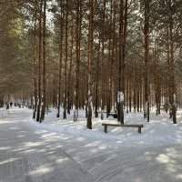 ESPRIT FAMILLE : PATINAGE AU DOMAINE ENCHANTEUR DE LA FORET PERDUE