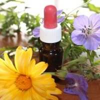 Atelier Pierre Marie : Tout savoir sur l'Homéopathie