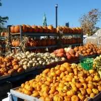 Atelier spécial nouvelles au marché Atwater