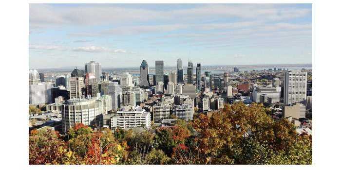 Quartier grand - Balade et pique nique au Mont Royal